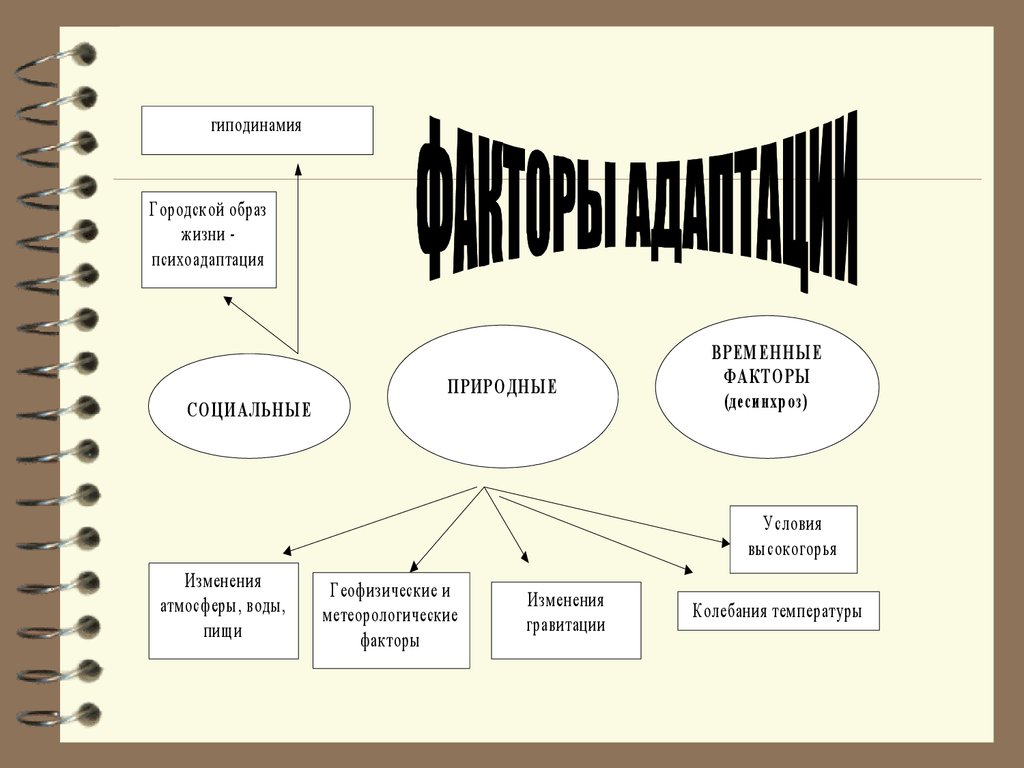 Общественный образ. Реферат резервы организма. Общественный образ жизни. Характеристика городского образа жизни.