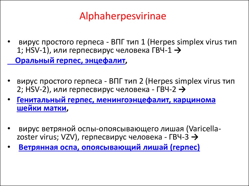 Герпес иммунология презентация