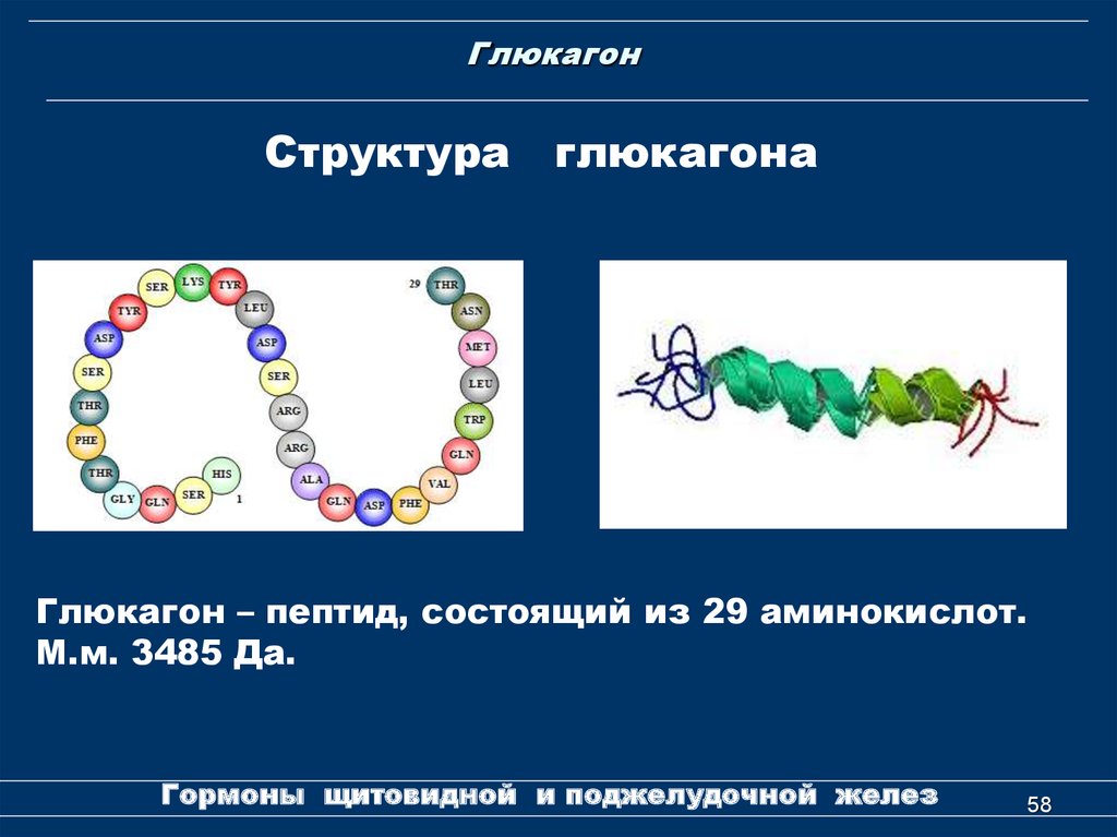 Глюкагон это гормон. Глюкагон химическая формула. Глюкагон строение биохимия. Глюкагон гормон структурная формула. Глюкагон химическое строение.