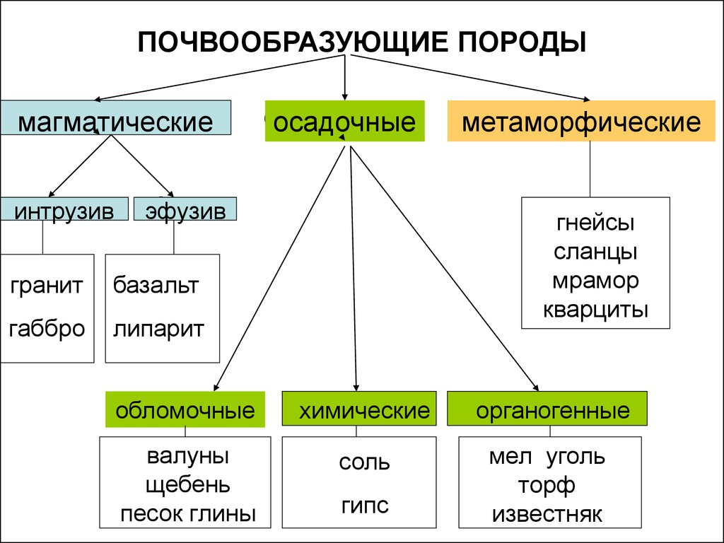 Схема почвообразующие факторы