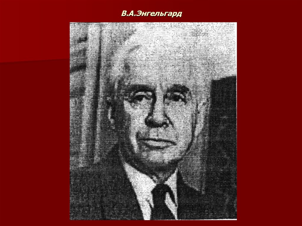 Энгельгард. Энгельгард н.п.. Лидия Энгельгард. Энгельгард (1986 г.). Стасси Энгельгард.