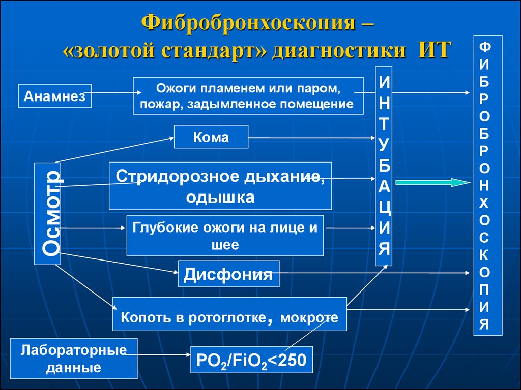 Патогенез ожоговой болезни схема