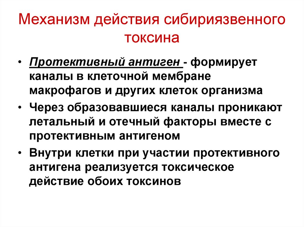 Токсины антигены. Протективные антигены микробиология. Механизм действия токсинов. Протективность антигенов это. Механизм действия экзотоксинов.