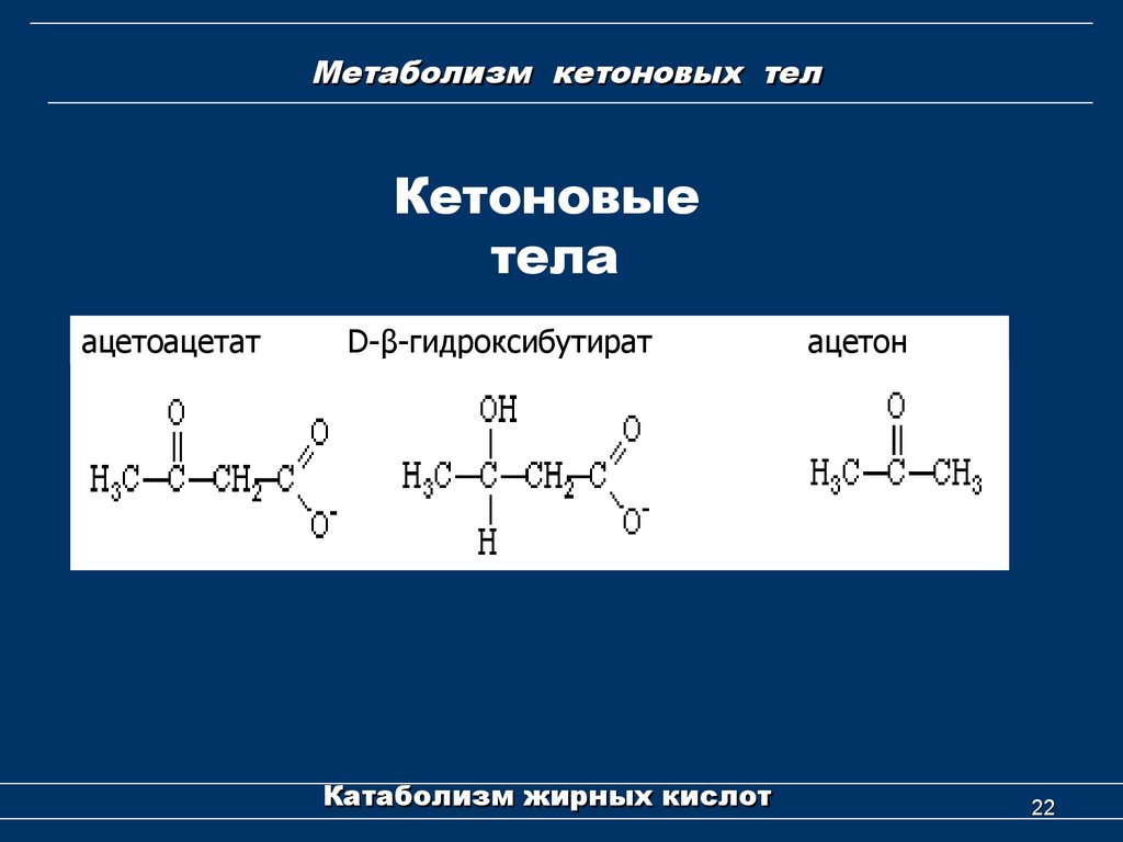 Кетоновые тела презентация