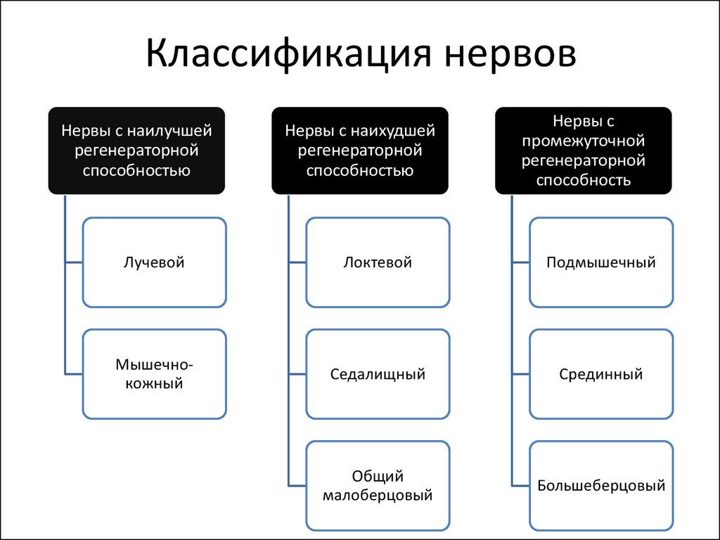 Классификация нервной. Классификация нервов. Нервы классификация. Нерв классификация строение. Схема классификация нервов.