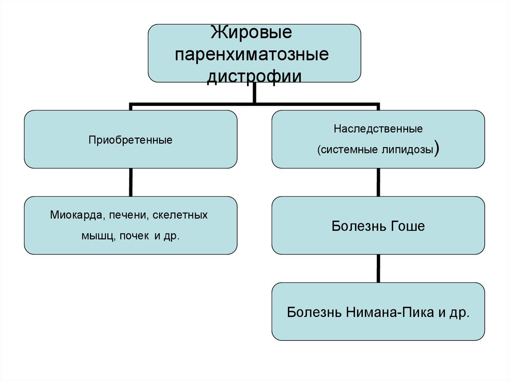 Заполнить блок схему дистрофия