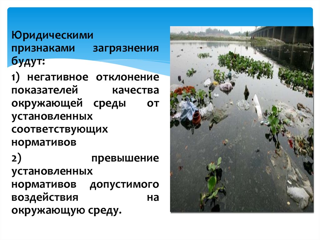 Проект загрязнение водной среды