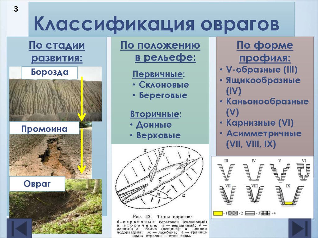 Комплексам рельеф. Типы оврагов. Этапы образования оврага. Стадии развития оврага. Формирование оврагов.