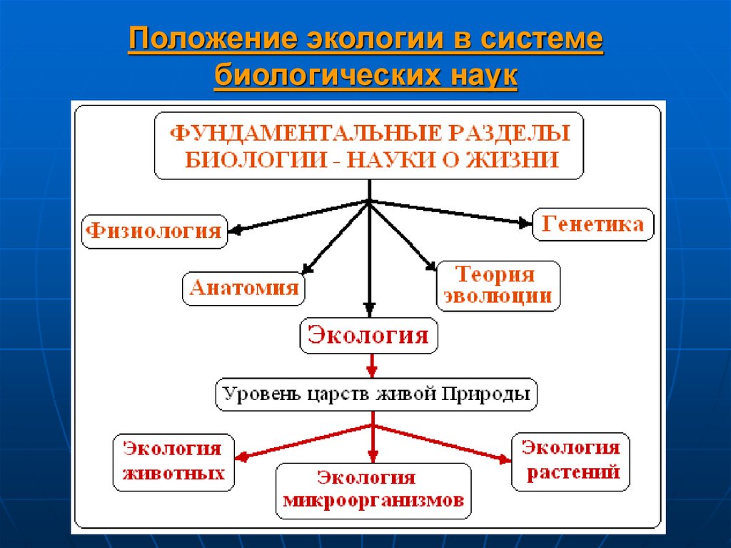 Схема взаимосвязь экологии с другими науками