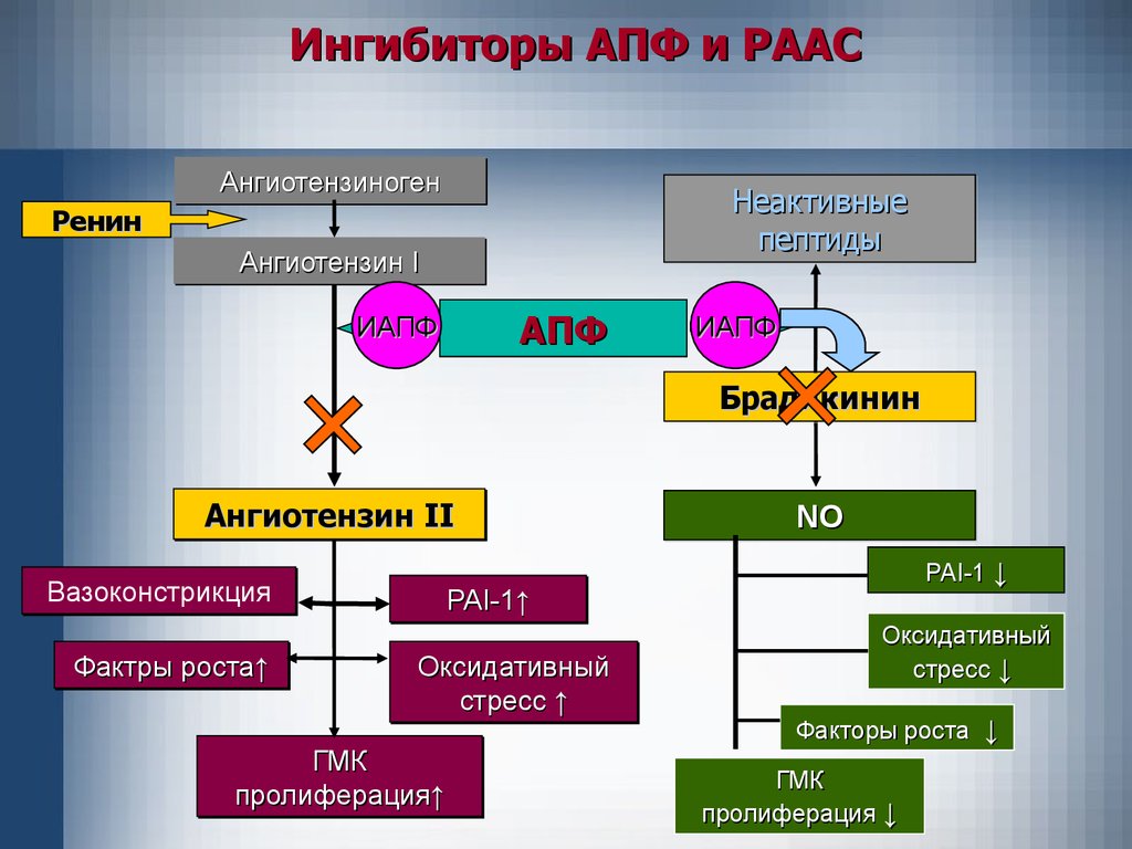 Ингибиторы апф это. Ангиотензин 2 физиология. Ренин-ангиотензин-альдостероновая система. РААС И АДГ. Блокаторы АПФ механизм действия.