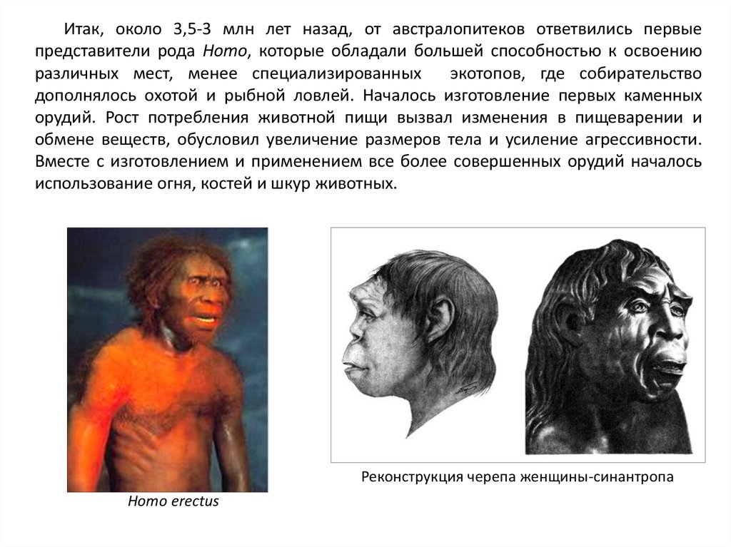 Представители рода homo. Первые представители рода homo. Австралопитеки использовали огонь. Братья похожие на австралопитеков. Австралопитек с описанием и фото.