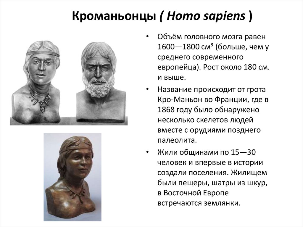 Происхождение человека, антропогенез - презентация онлайн