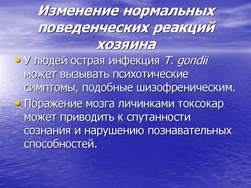 Нормальные изменения. Поведенческие реакции. Современное делопроизводство включает. Поведенческие реакции какие бывают. Типы поведенческих реакций ребенка.