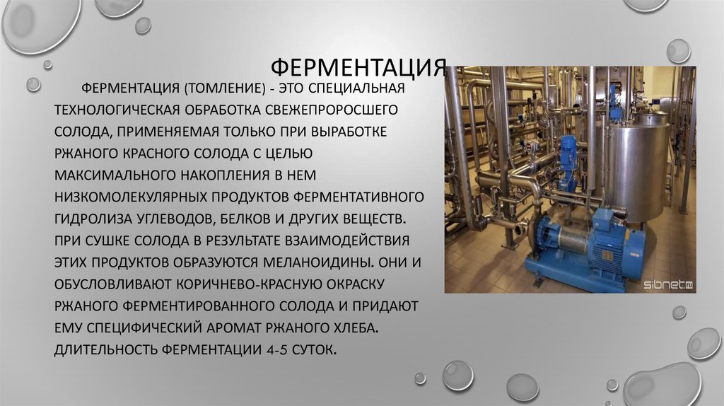 Подготовка к ферментации. Ферментация солода. Ферментация веществ. Ферментация инулина. Ферментация масла.