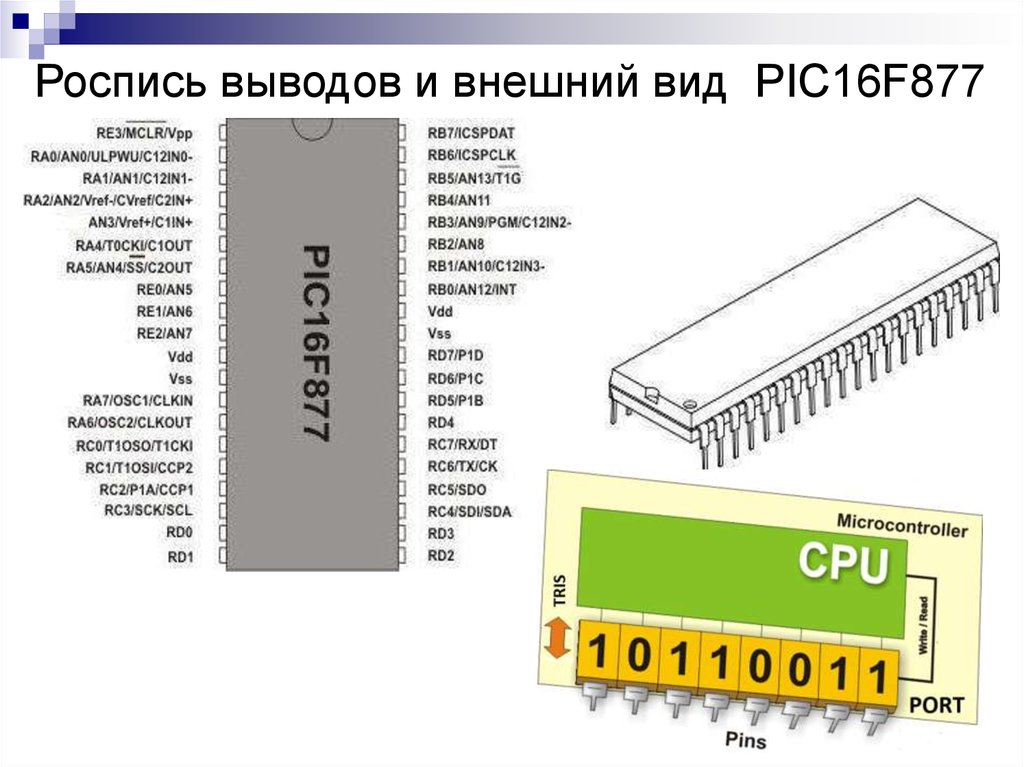 Выводы микроконтроллера