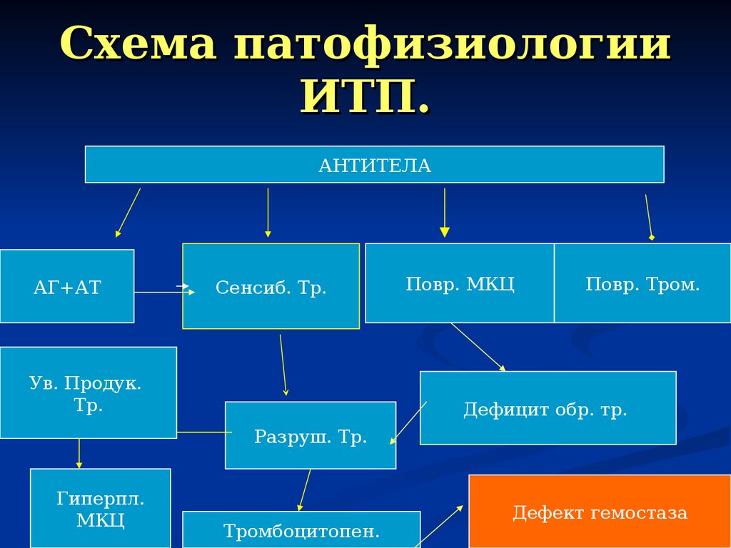 Схема патофизиологии ИТП.