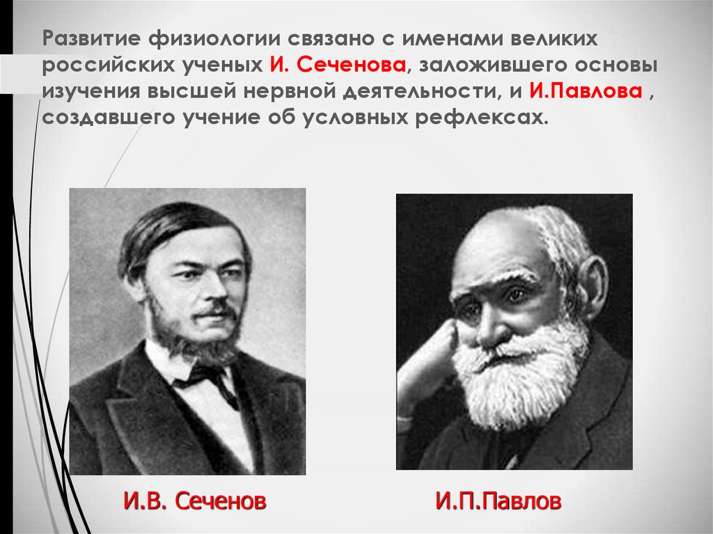 Развитие физиологии связано с именами великих российских ученых И. Сеченова, заложившего основы изучения высшей нервной