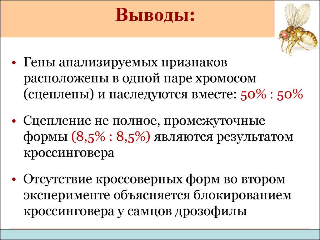 Анализирующие гены. Сцепленное наследование генов вывод. Гены анализируемых признаков. Наследование одной пары генов. Заключение по сцепленному наследованию генов.