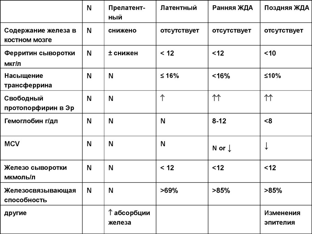 Особенности диеты при анемиях презентация