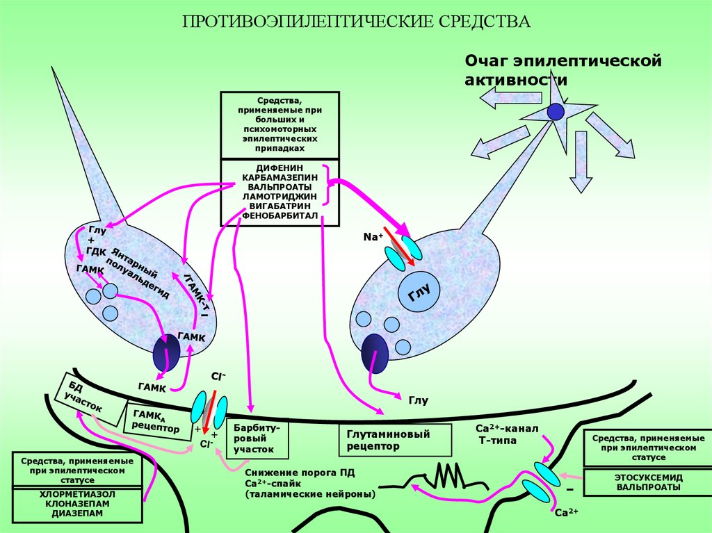 Противосудорожные средства фармакология презентация