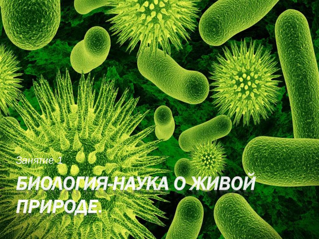 1 наука о живой природе. Биология. Практика по биологии. Биология наука о живой природе. Monera биология.