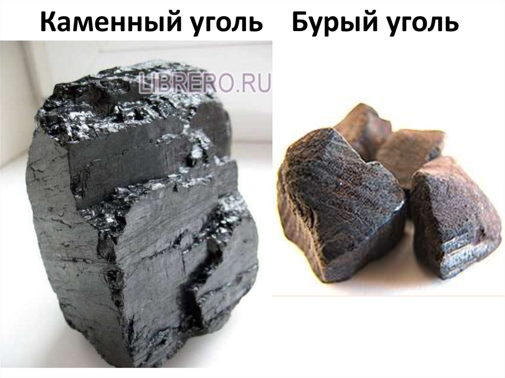 Каменный уголь Бурый уголь