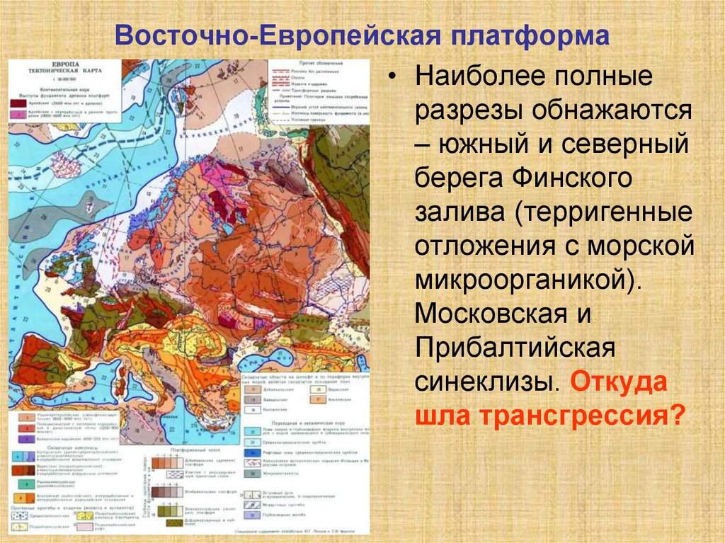 Часть кристаллического фундамента. Геологическая карта Восточно-европейской платформы. Тектоническая схема Восточно-европейской платформы. Восточно-европейская платформа тектонические структуры. Восточно европейская платформа Геология.