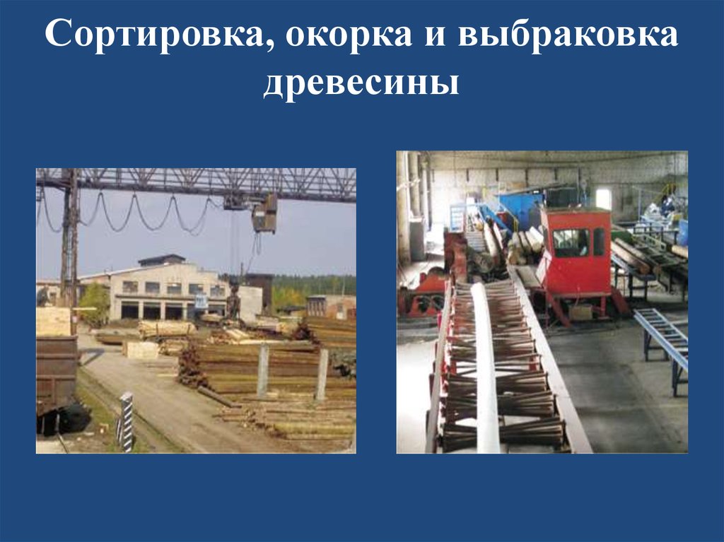 Сортировка, окорка и выбраковка древесины