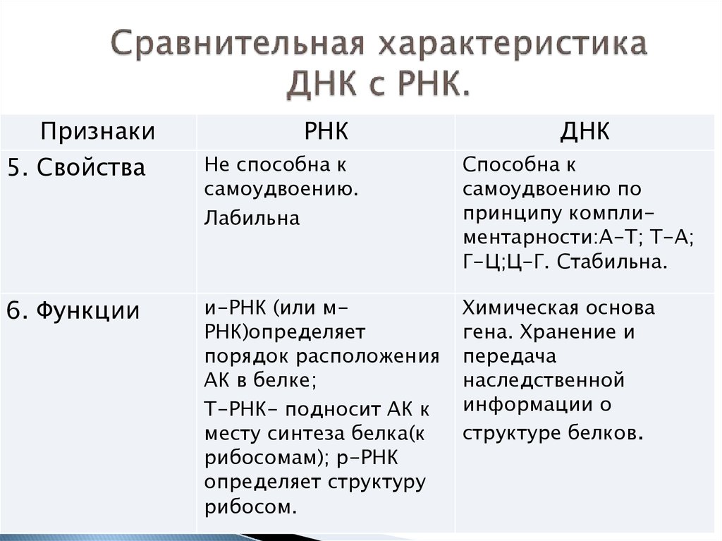 Строение днк и рнк презентация