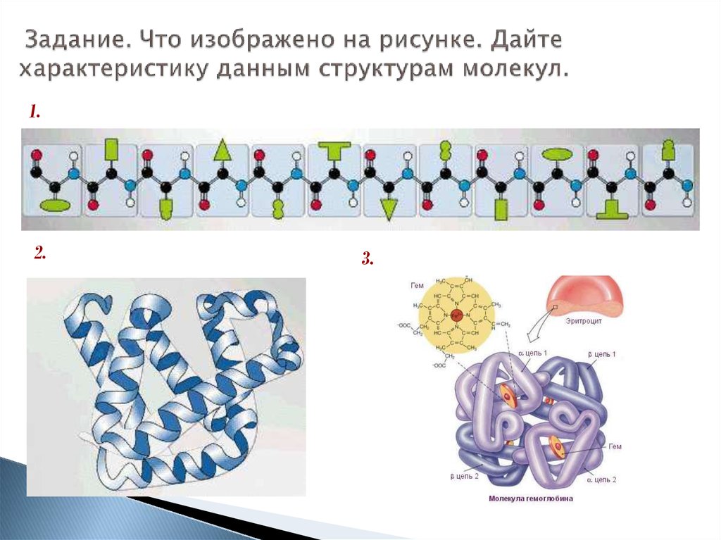 Схема строения какой молекулы изображена на рисунке