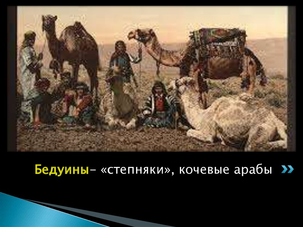 Бедуины- «степняки», кочевые арабы