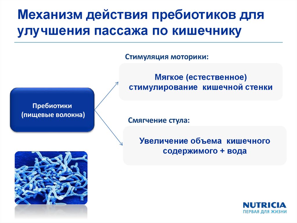 Пробиотики и пребиотики фармакология презентация