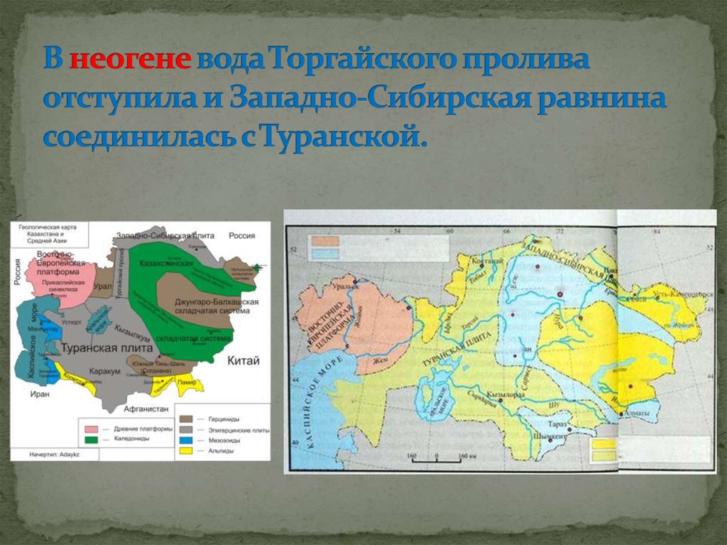 В неогене вода Торгайского пролива отступила и Западно-Сибирская равнина соединилась с Туранской.