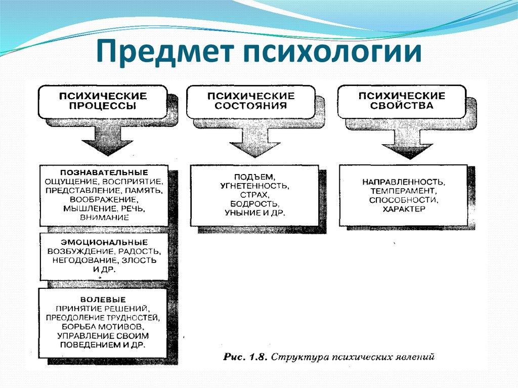 Психология предмет изучения. Структура психических явлений Маклаков. Предмет изучения психологической науки. Предмет и задачи психологии схема. Психические явления психические свойства состояния процессы.