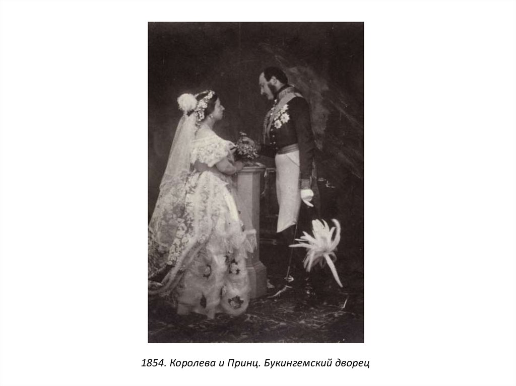 1854. Королева и Принц. Букингемский дворец