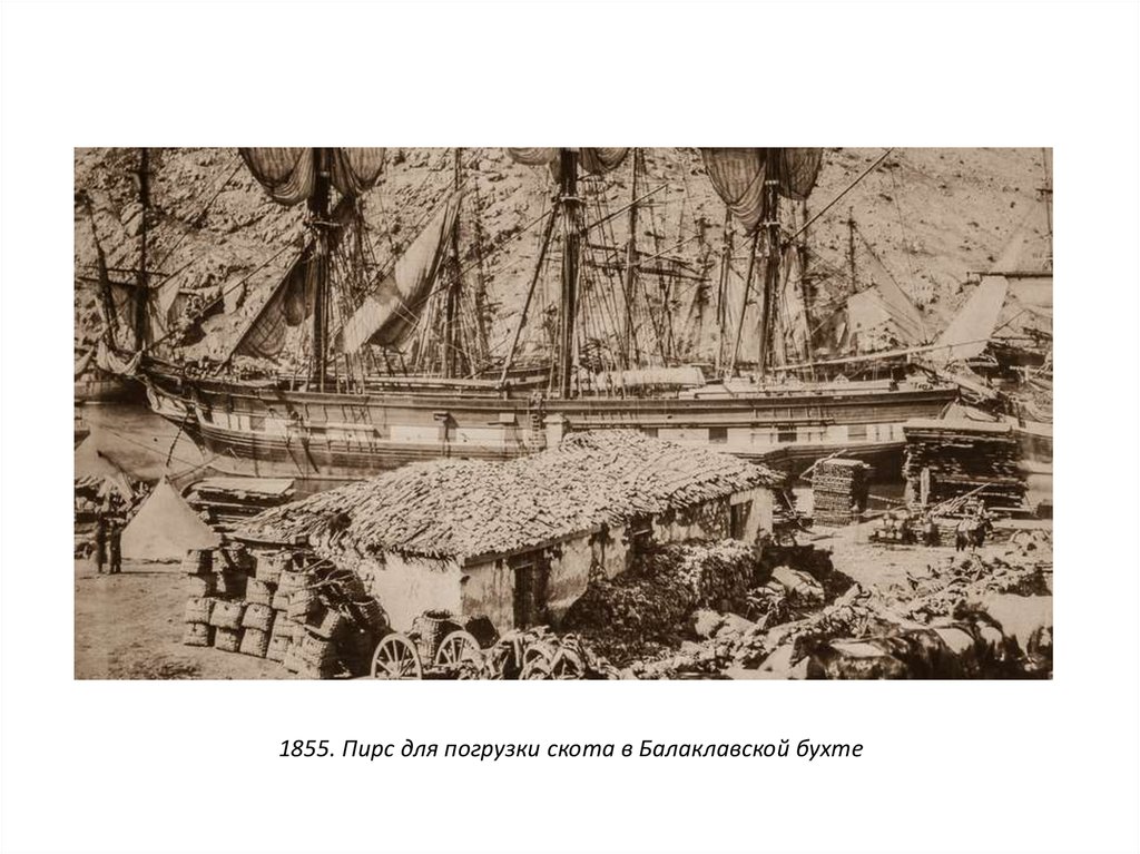 1855. Пирс для погрузки скота в Балаклавской бухте