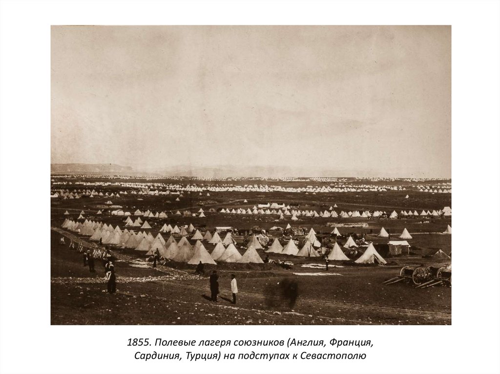 1855. Полевые лагеря союзников (Англия, Франция, Сардиния, Турция) на подступах к Севастополю