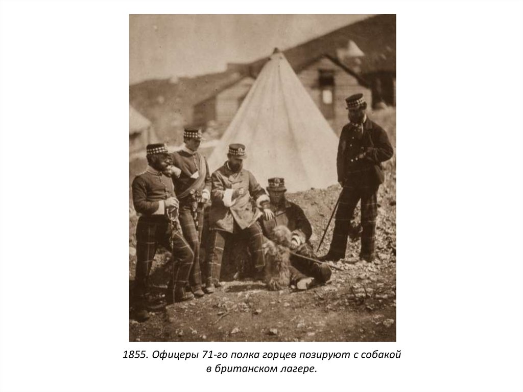 1855. Офицеры 71-го полка горцев позируют с собакой в ​​британском лагере.