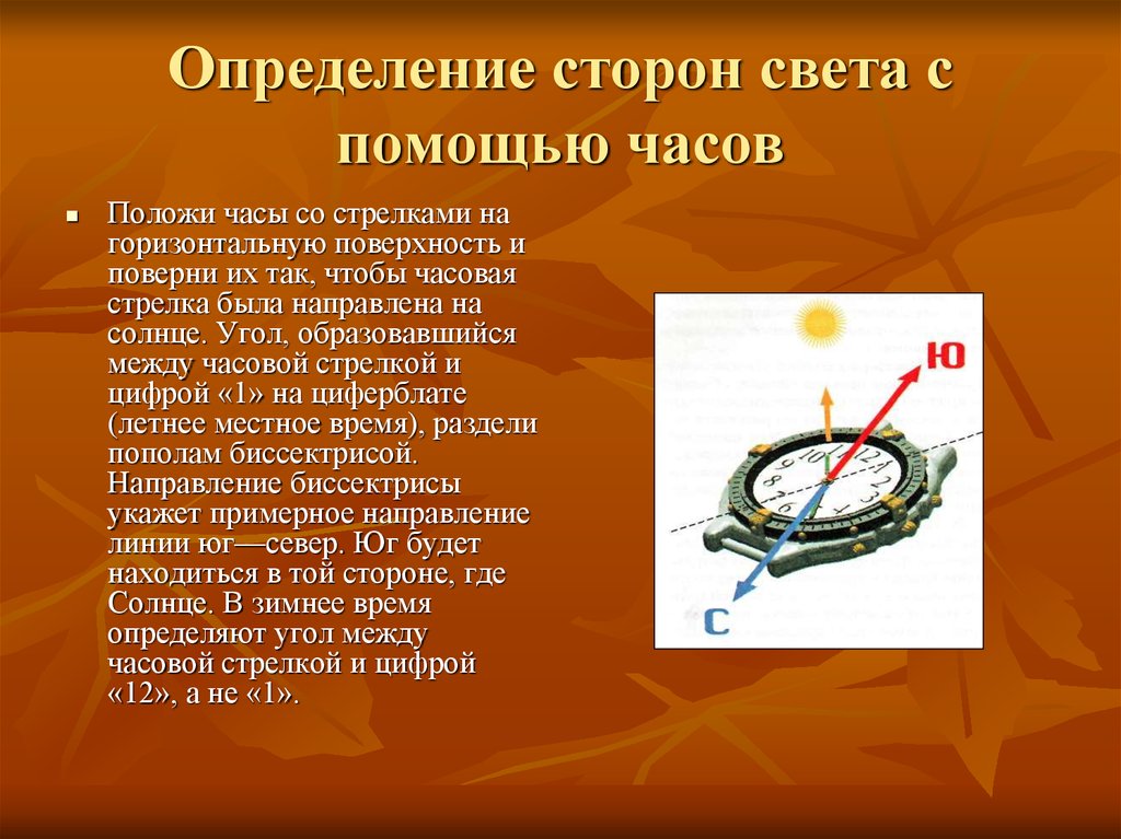 21 измерение. Часы определение сторон света. Определение сторон света. Стороны света по часам со стрелками. Определение сторон света с помощью часов.