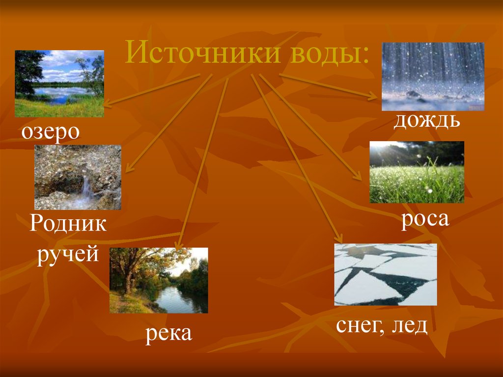 Осадки озер. Конспект водоёмы. Родник, ручей, река.. Способы выживания в природе 3 класс проект.