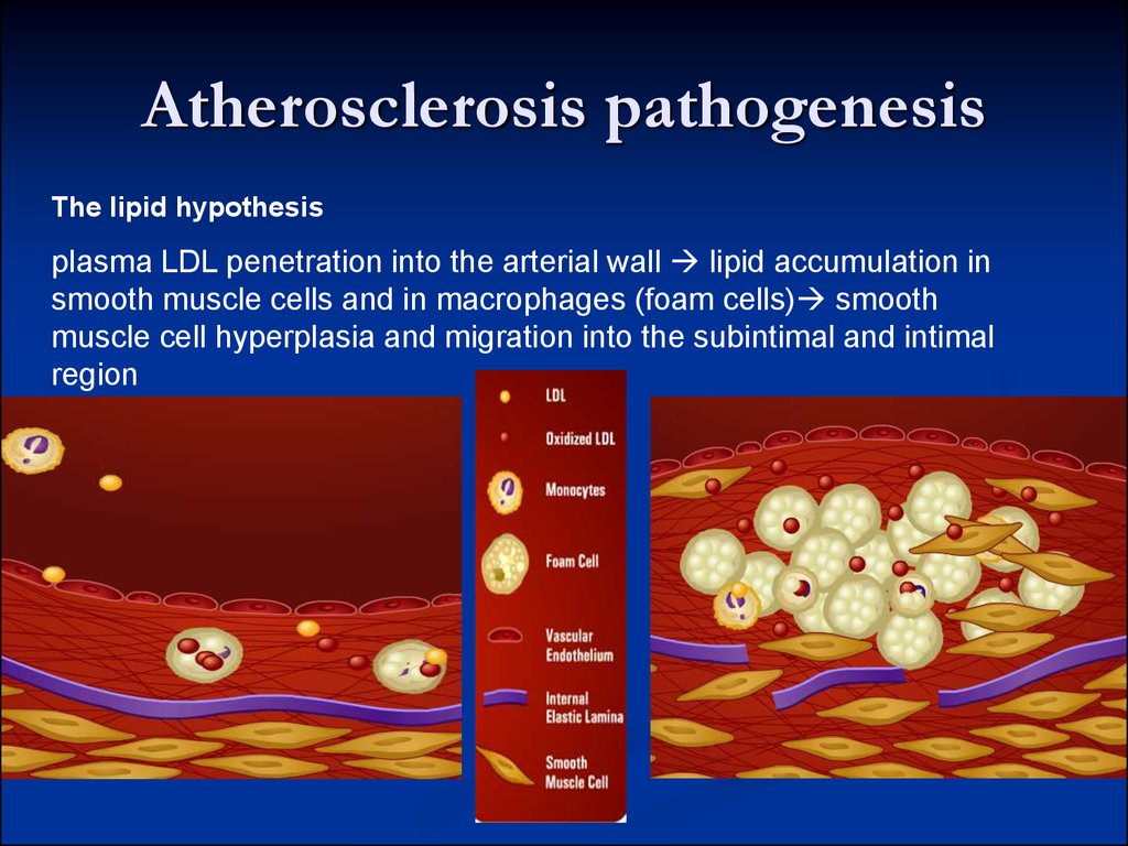 3 of blood composition pathology. Ð¿Ñ€ÐµÐ·ÐµÐ½Ñ‚Ð°Ñ†Ð¸Ñ Ð¾Ð½Ð»Ð°Ð¹Ð½ 14) (Subject   Blood vessels