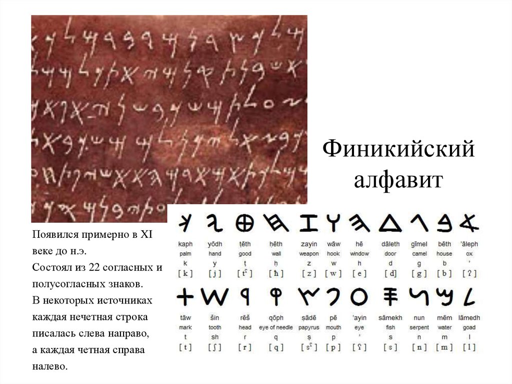 Финикийский алфавит история 5 класс. Первый Финикийский алфавит письменность. Финикийский алфавит 15 век до н.э. Первый Финикийский алфавит древний. Древний финский алфавит.