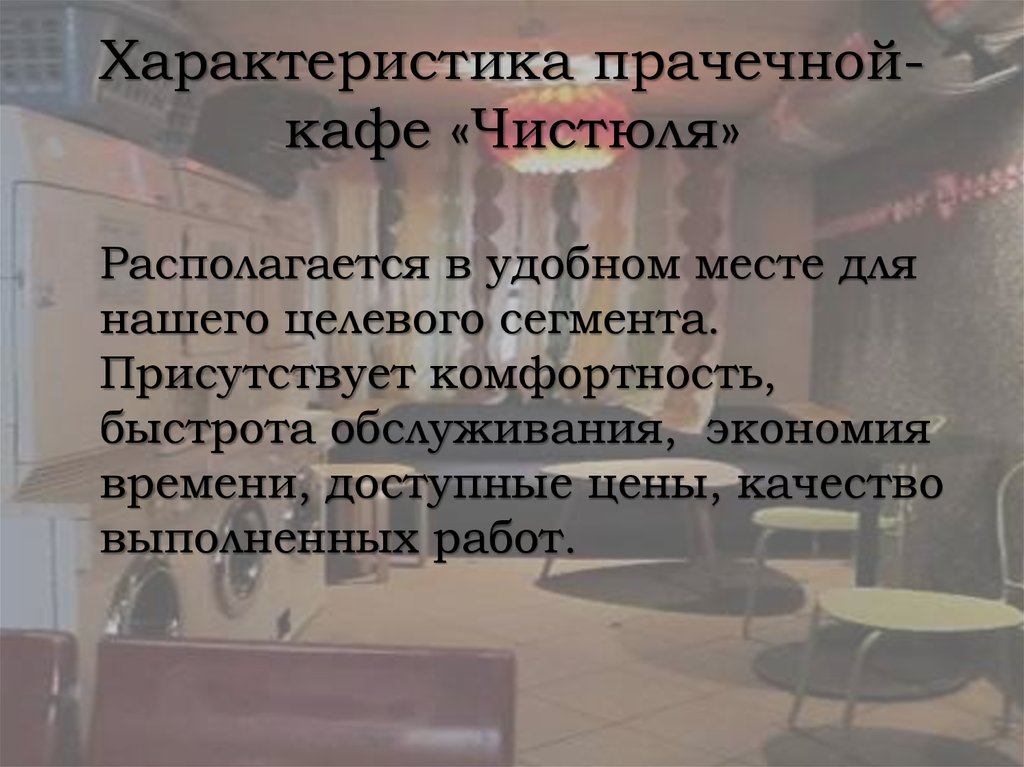 Характеристика прачечной-кафе «Чистюля»