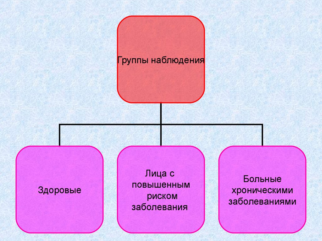 Принципы организации презентация