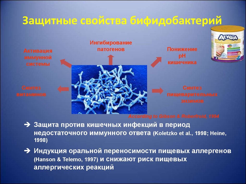 Какие бифидобактерии. Бифидобактерии строение клетки. Полезные бактерии бифидобактерии. Строение бифидобактерий. Характеристика бифидобактерий.