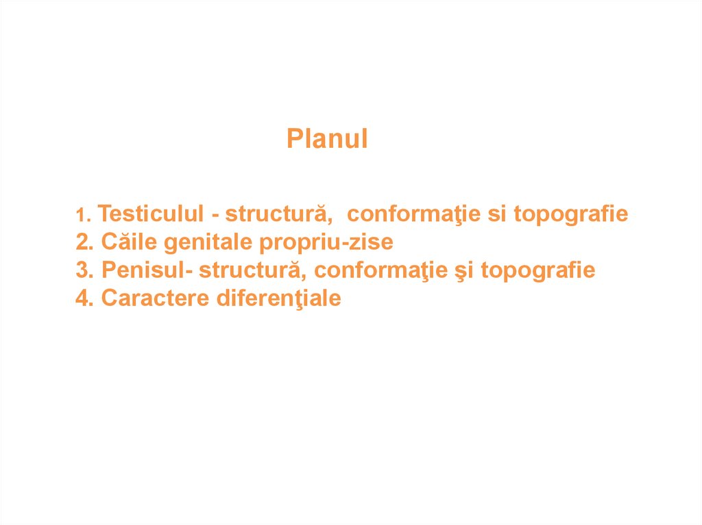 structura și tipurile de penis