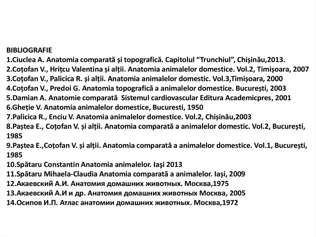 structura și tipurile de penis)