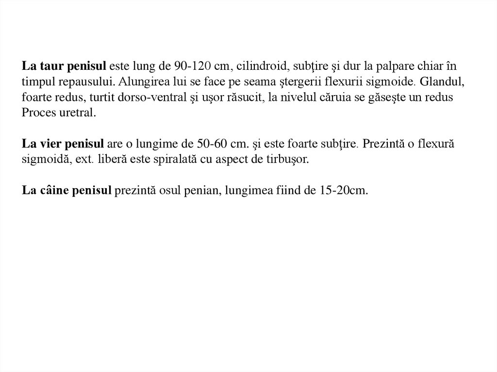 ce ar trebui să fie un penis lung