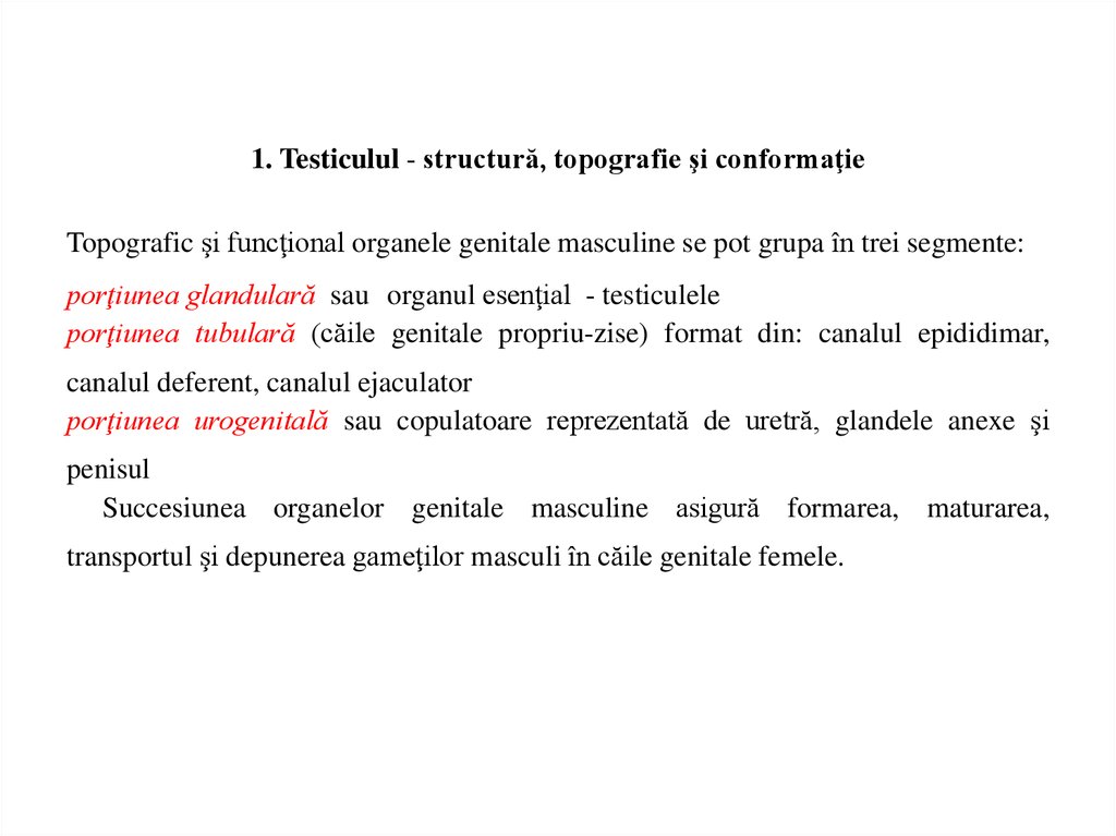 din care erecția slăbește după 40 de ani penis penis mărește