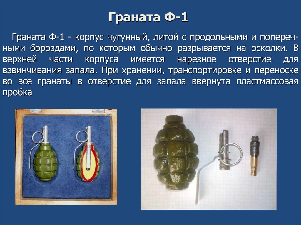 Корпус гранаты. Граната ф1 осколки. Граната корпус ф 1. Корпус гранаты чугунный с продольными и поперечными.